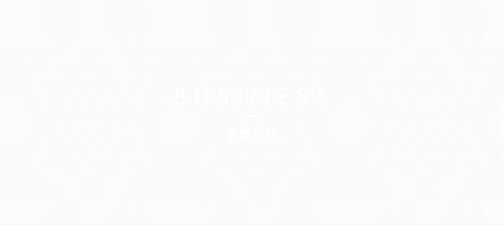bnr_half_business